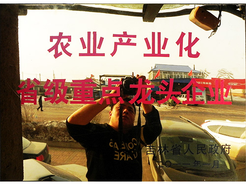 資質(zhì)榮譽(yù)